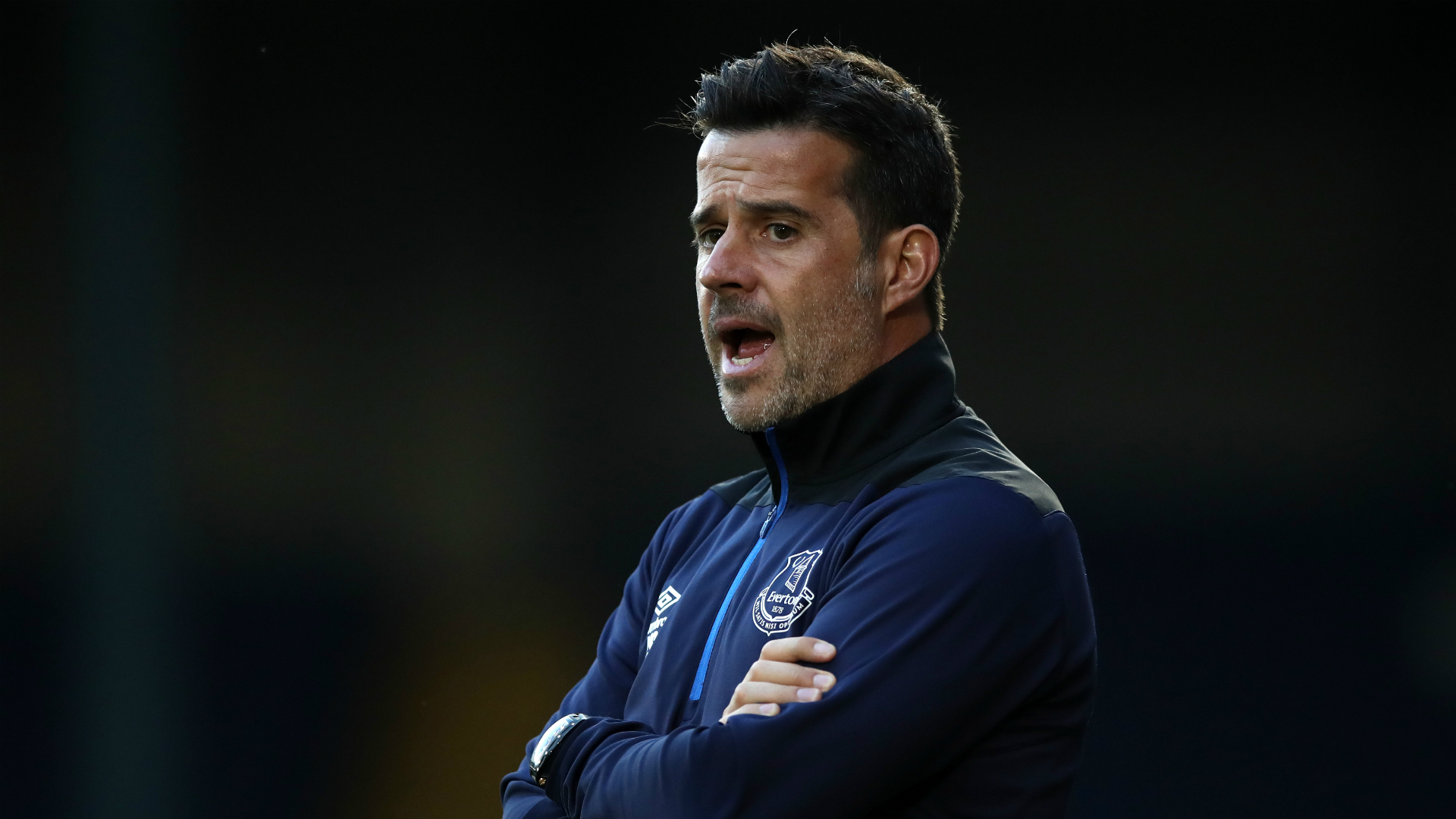 这一机构的 这一机构的